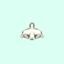 c2