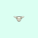 coccyx