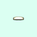 l1disc