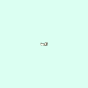 l_carpal_distal_phalanx_3