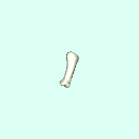 l_carpal_proximal_phalanx_2