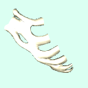 l_costal_cartilage