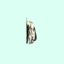 l_ethmoid