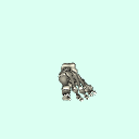 l_foot