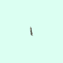 l_lacrimal