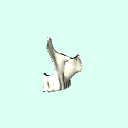 l_maxilla