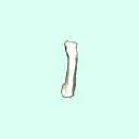 l_metacarpal_5