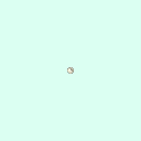 l_pisiform