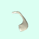 l_rib1