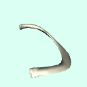 l_rib2