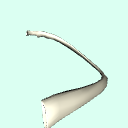 l_rib3