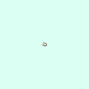 l_tarsal_distal_phalanx_4