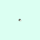 l_tarsal_middle_phalanx_2
