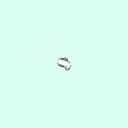 l_trapezium