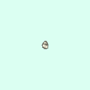 l_triquetral