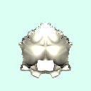 occipital