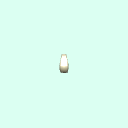 pubic_symphysis