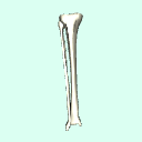 r_calf
