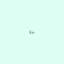 r_carpal_distal_phalanx_2