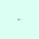r_carpal_distal_phalanx_3