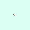 r_carpal_middle_phalanx_5