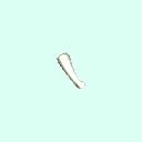 r_carpal_proximal_phalanx_3