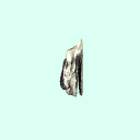 r_ethmoid