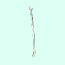 r_fibula