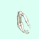r_hand