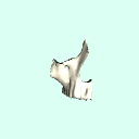 r_maxilla