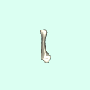 r_metacarpal_2