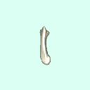 r_metacarpal_3