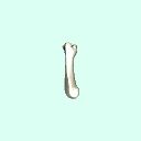 r_metacarpal_4