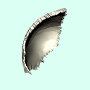 r_parietal