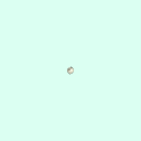 r_pisiform