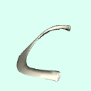 r_rib2
