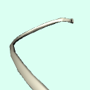 r_rib5