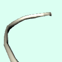 r_rib7