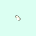 r_scaphoid