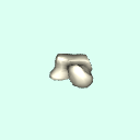 r_talus