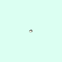 r_tarsal_middle_phalanx_3