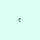 r_triquetral