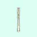 spine
