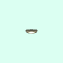 t3disc