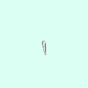 tooth_canine_27_43