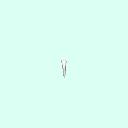 tooth_incisor_24_31
