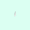 tooth_incisor_8_11