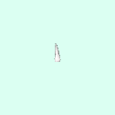 tooth_incisor_9_21