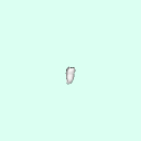 tooth_molar_31_47