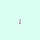 tooth_premolar_29_45
